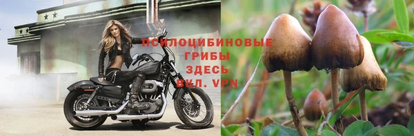гидропоника Нея