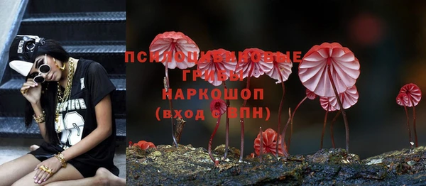 шишки Нефтекумск