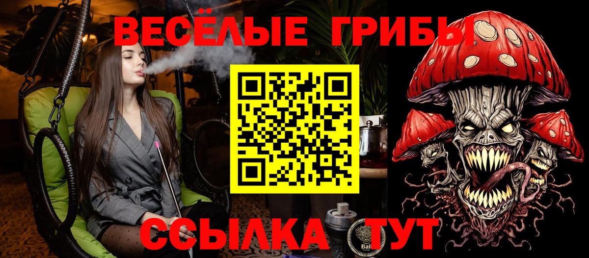 Тюмень  Галлюциногенные грибы Psilocybine cubensis  Галлюциногенные грибы прущие грибы  Вход с VPN 