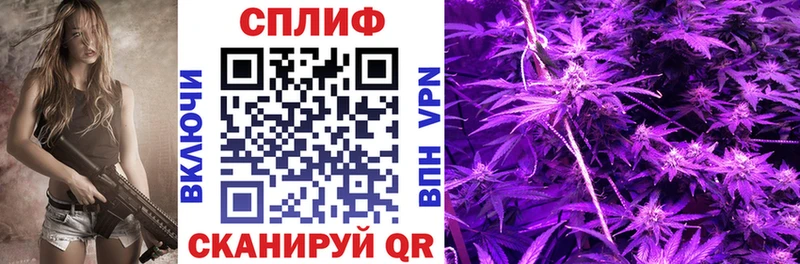 как найти наркотики  мориарти клад  Канабис MAZAR  Тюмень 